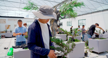 宿迁沭阳 “美丽”转型“花”更香