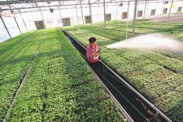 现代农业 园艺产品种植的跨越提升之路